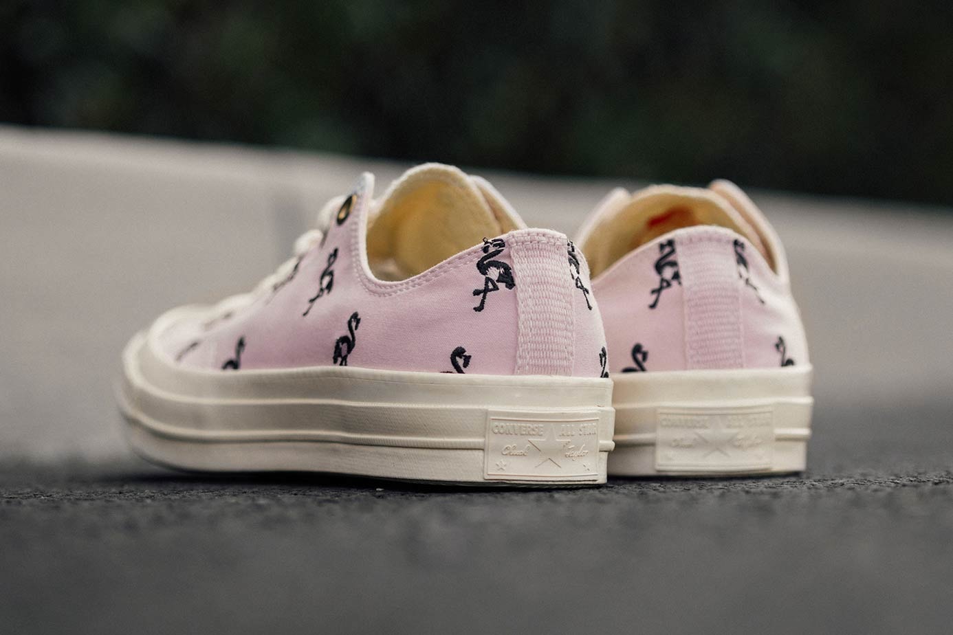 Converse Chuck Taylor All Star 70 Barely Rose Pink Flamingo