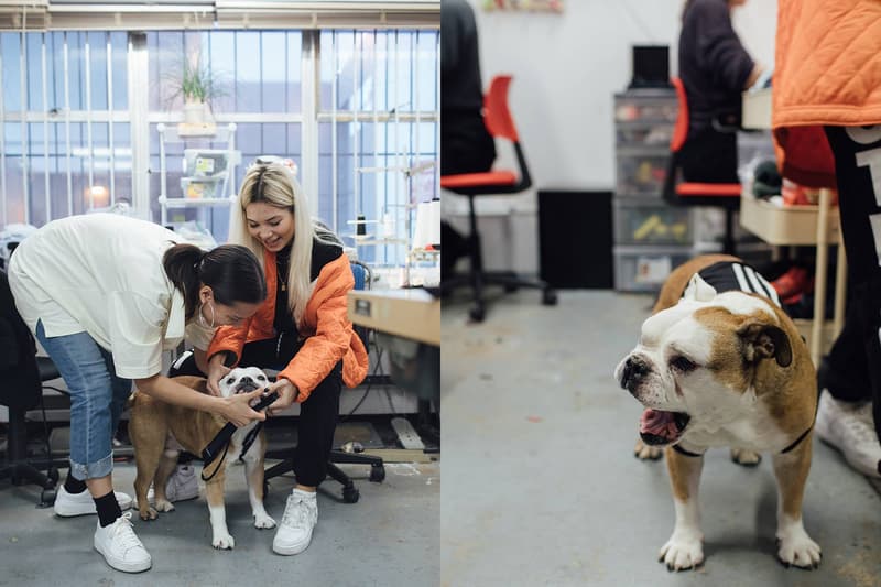 Frankie Collective Sara Gourlay Tamara Rickrafsimons Interview Dog adidas