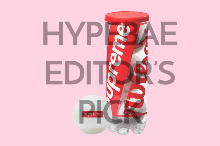 My Dog Is Really Into the Supreme Tennis Balls