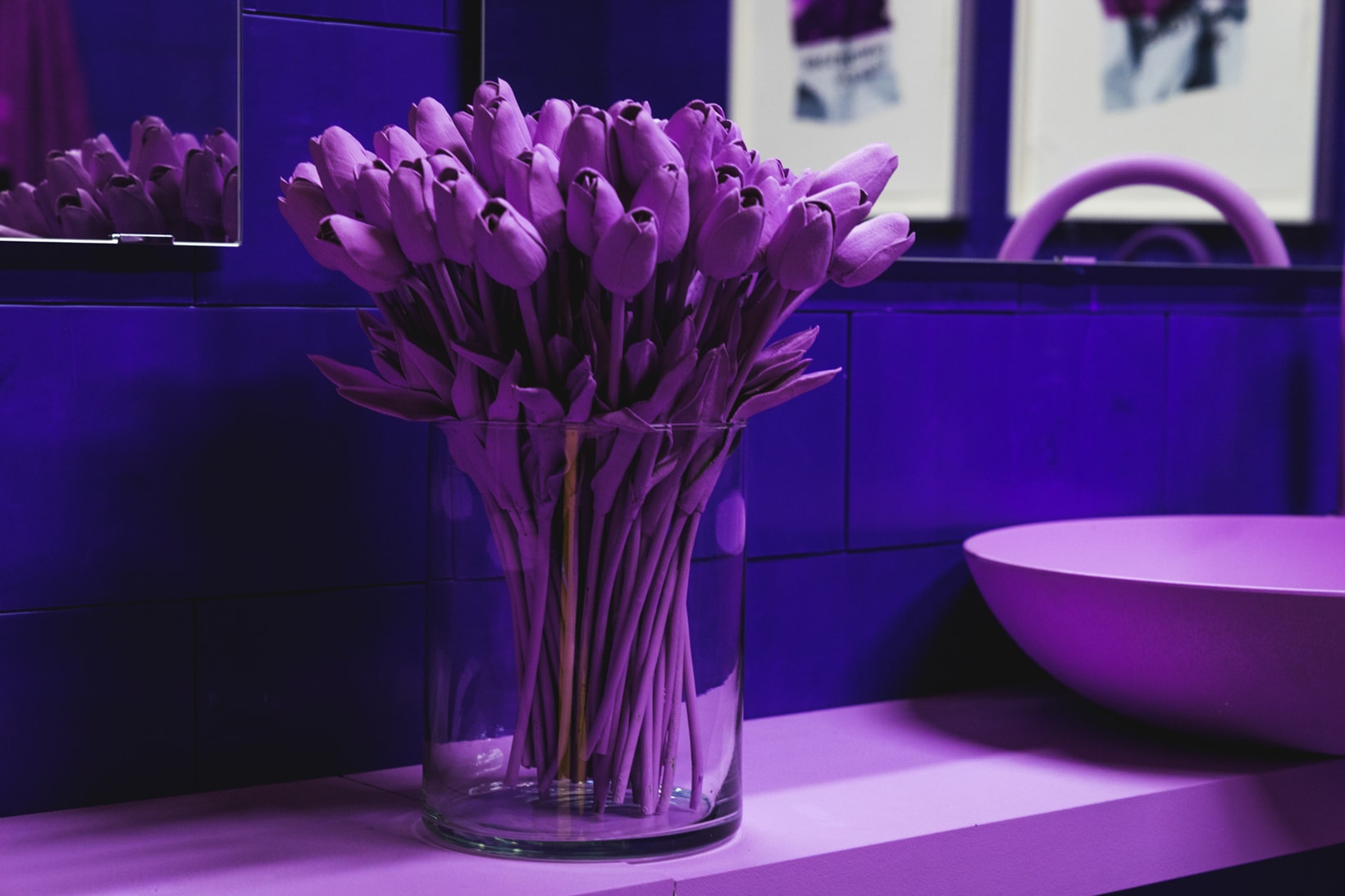 CJ Hendry Monochrome Greenpoint Brooklyn Exhibit Purple Bathroom
