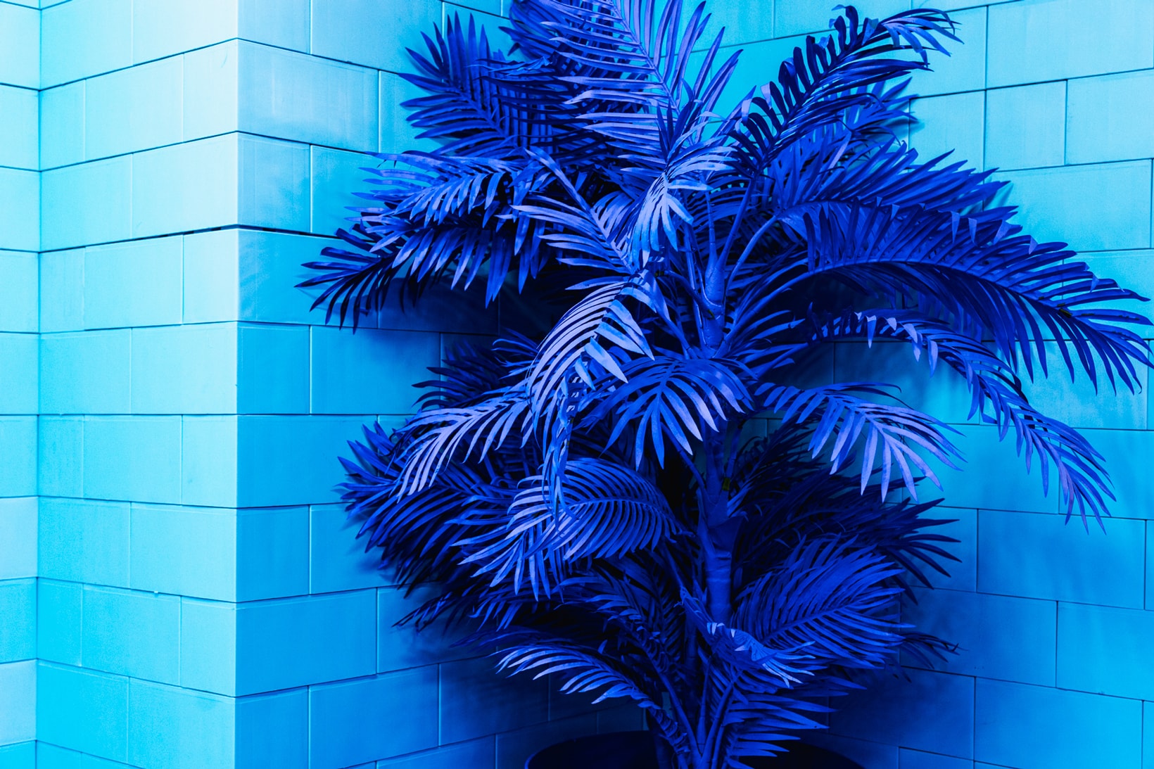 CJ Hendry Monochrome Greenpoint Brooklyn Exhibit Blue Living Room