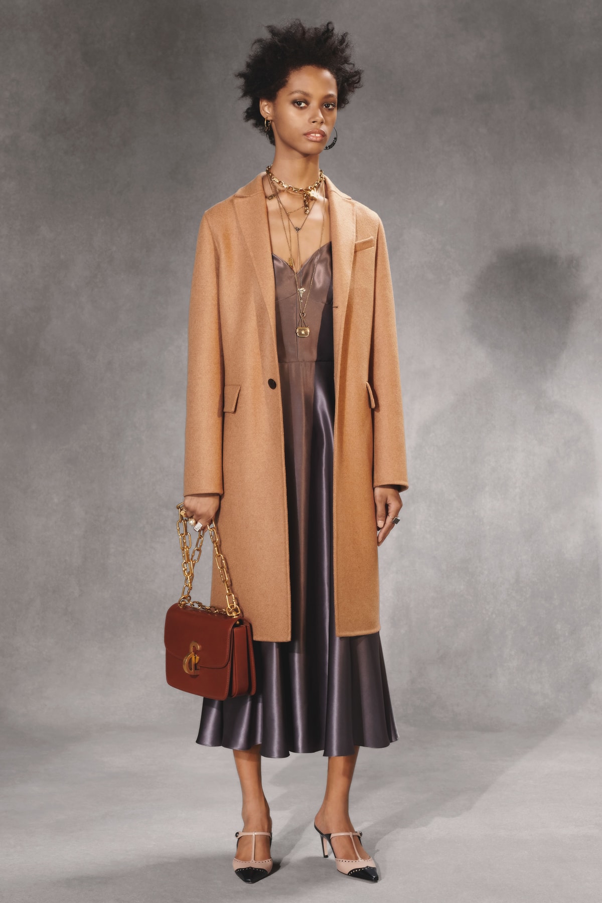 Dior Fall 2018 Collection Lookbook Silk Dress Wool Coat Leather Bag Grey Tan Brown