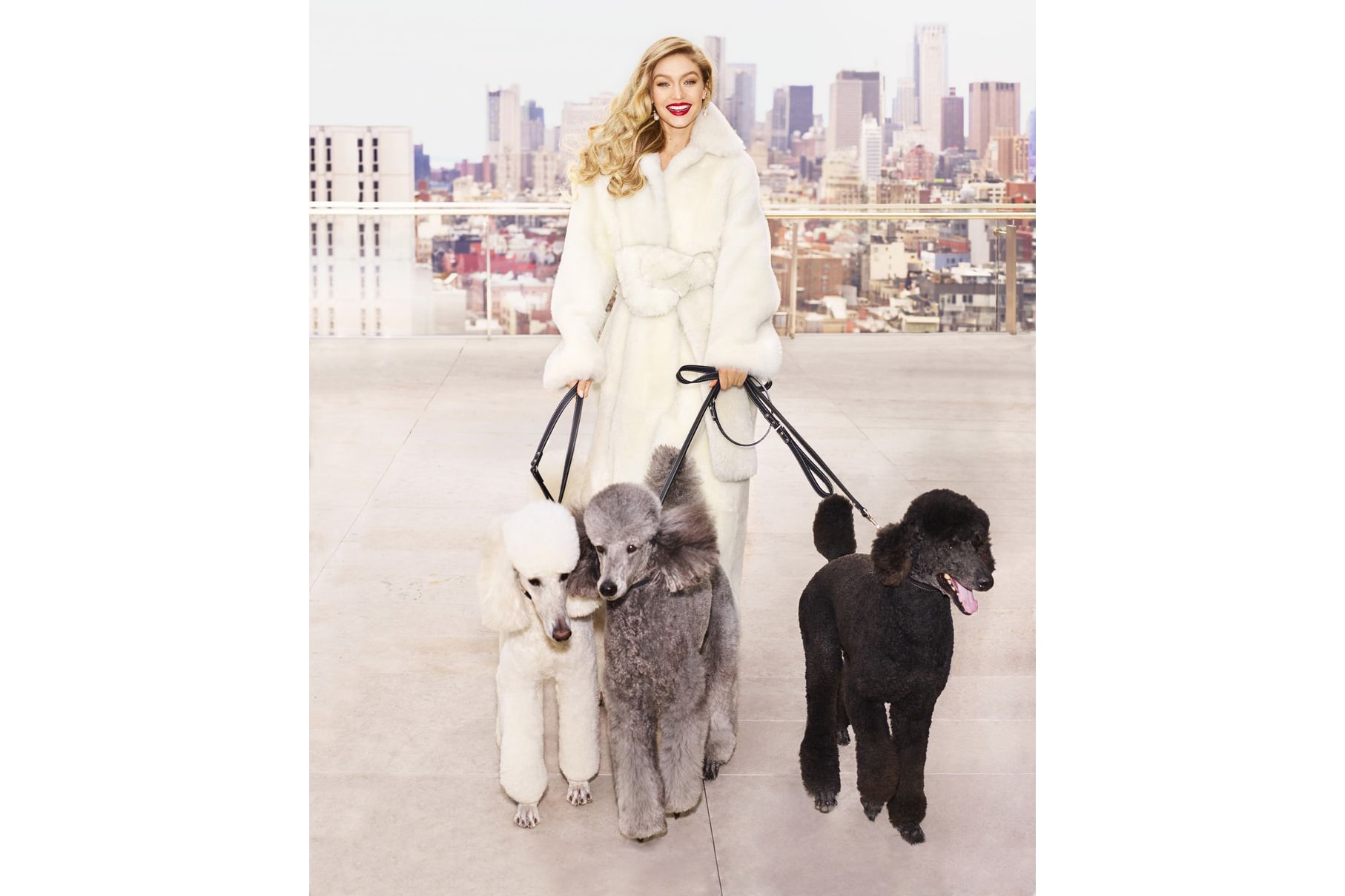 Gigi Hadid Harper's Bazaar May 2018 Issue Cover Editorial Magazine Dogs Puppies Poodle Interview Blake Lively Body Shamers Haters Instagram Social Media Trolls Woman Supporting