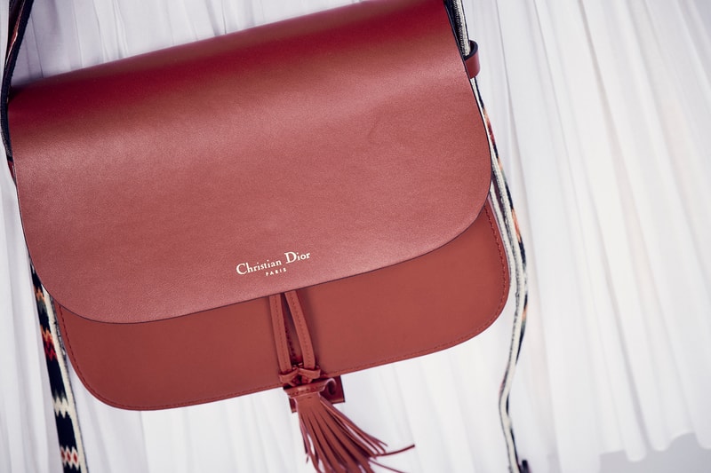Dior Cruise 2019 Resort Runway Backstage Handbag Tassel Red