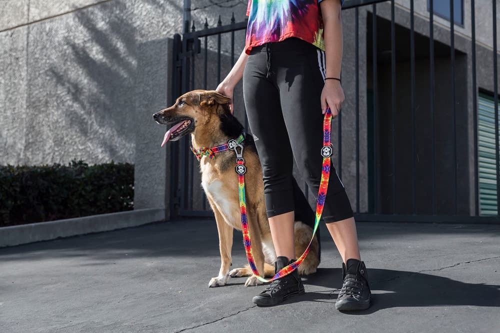 Fresh Pawz Streetwear Dogs Gucci Hermes Off White Supreme Anti Social Social Club