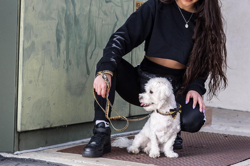 Fresh Pawz Streetwear Dogs Gucci Hermes Off White Supreme Anti Social Social Club