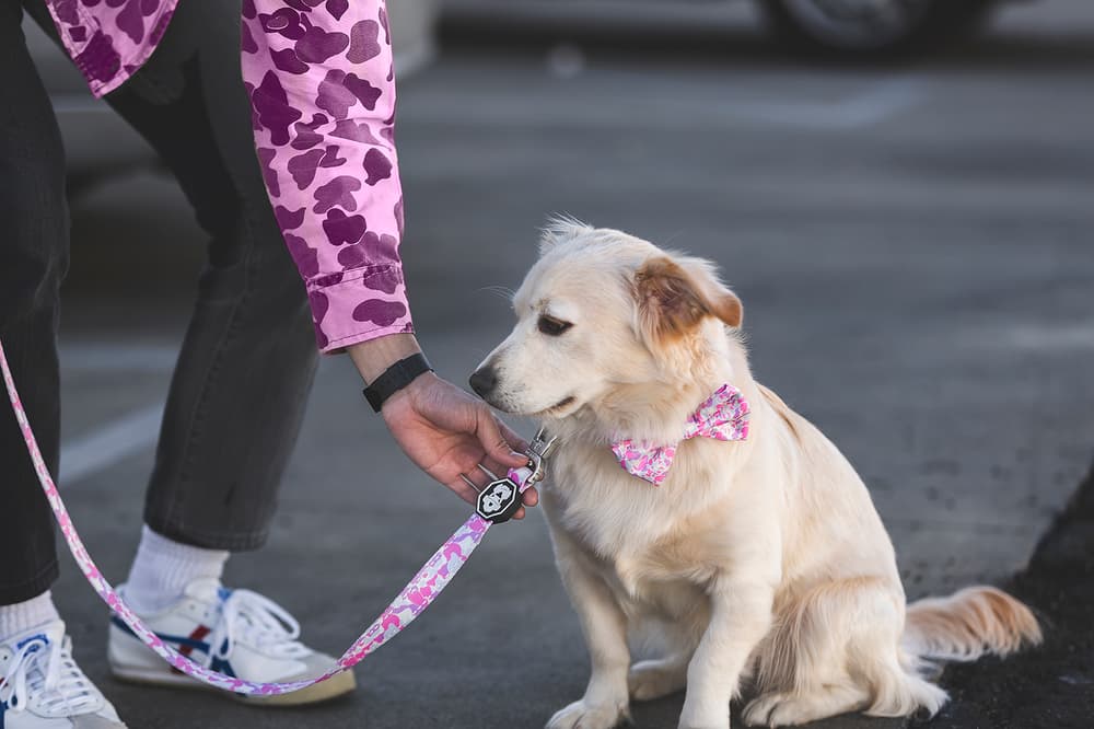 Fresh Pawz Streetwear Dogs Gucci Hermes Off White Supreme Anti Social Social Club