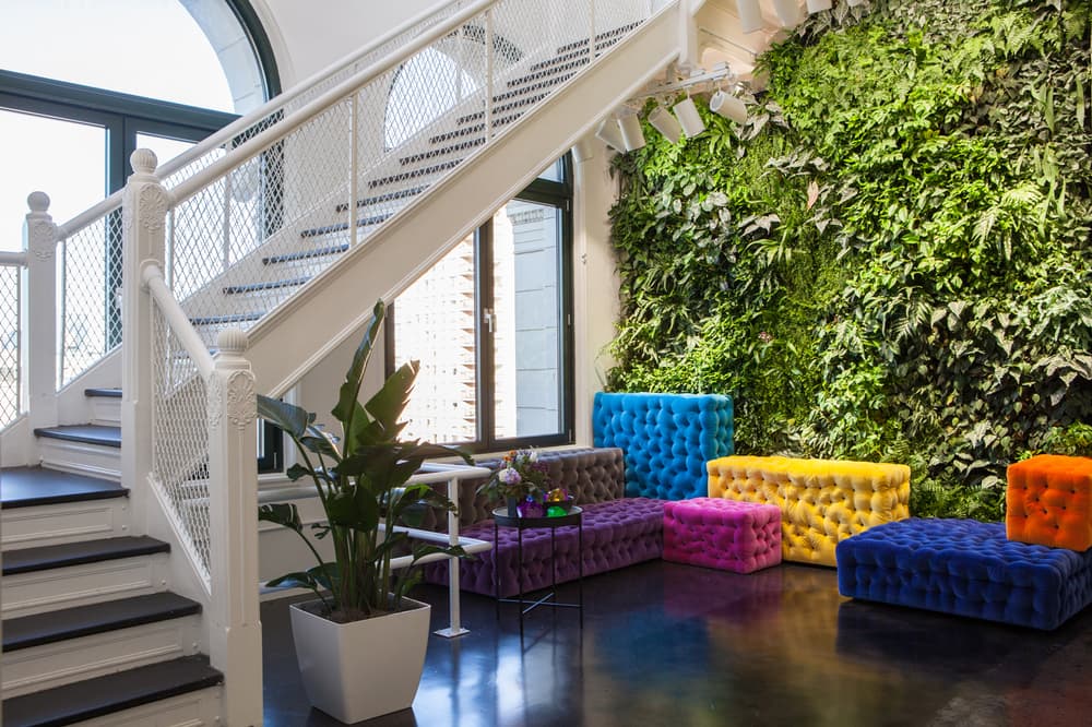 Instagram New York City Office First Look Couches Plant Wall Purple Pink Yellow Blue Yellow Orange
