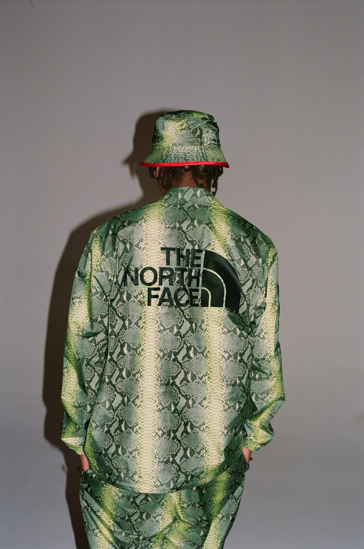 supreme north face backpack snakeskin