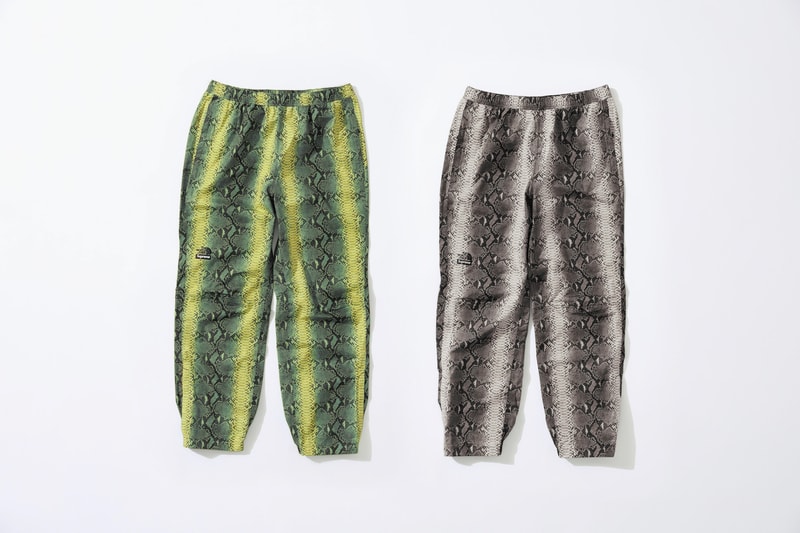 Supreme x The North Face Green Grey Snakeskin Print Pants