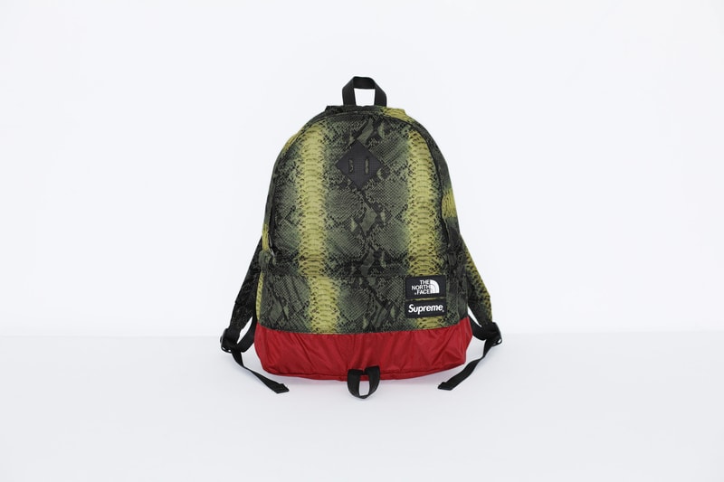 Supreme x The North Face Green Snakeskin Print Backpack
