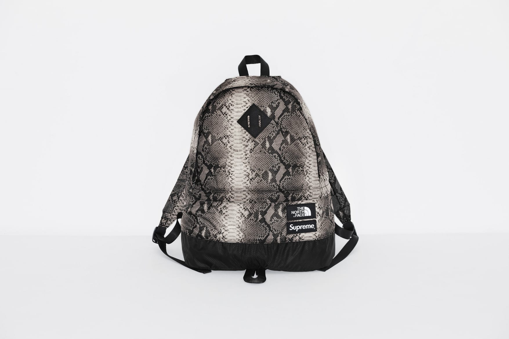 supreme x tnf snakeskin backpack