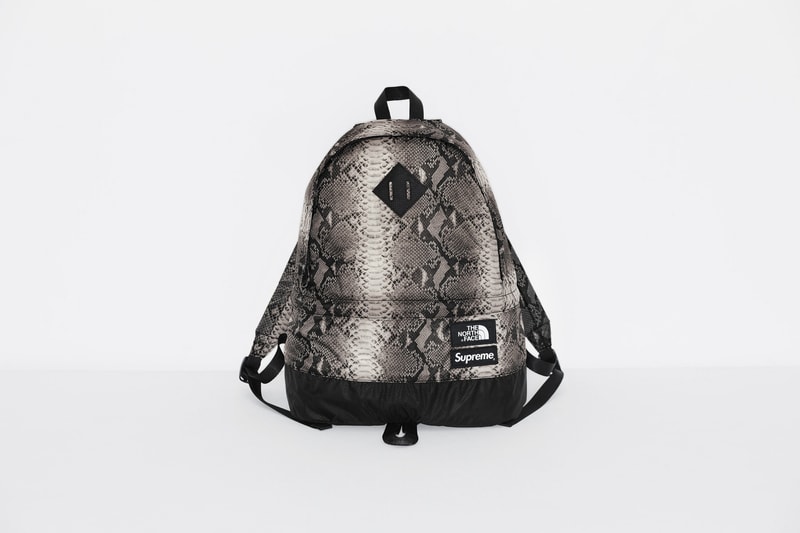 Supreme x The North Face Grey Snakeskin Print Backpack