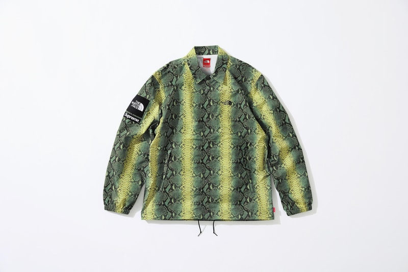 Supreme x The North Face Green Snakeskin Print Jacket