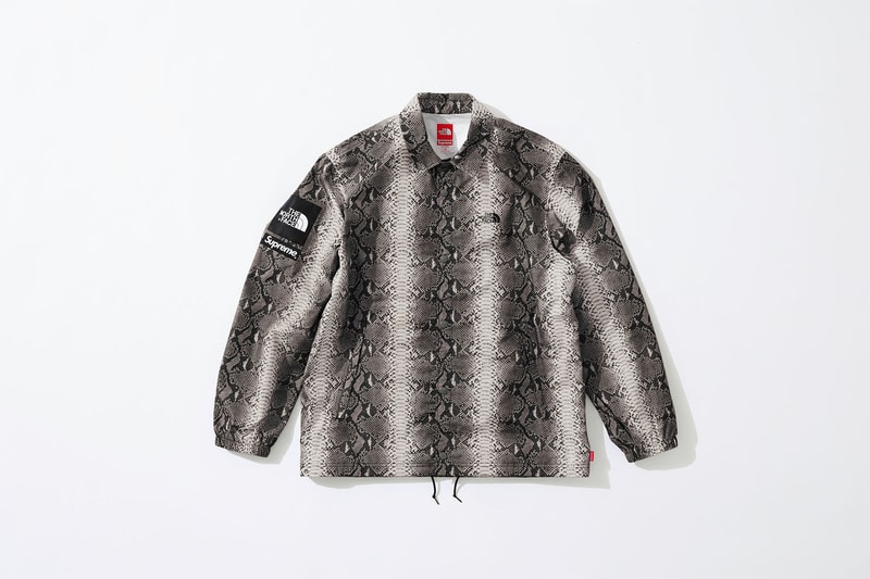 Supreme x The North Face Grey Snakeskin Print Jacket