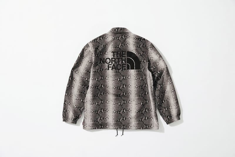 supreme snakeskin north face