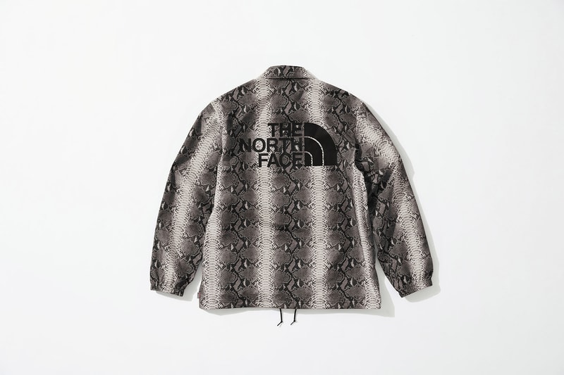 Supreme x The North Face Grey Snakeskin Print Jacket