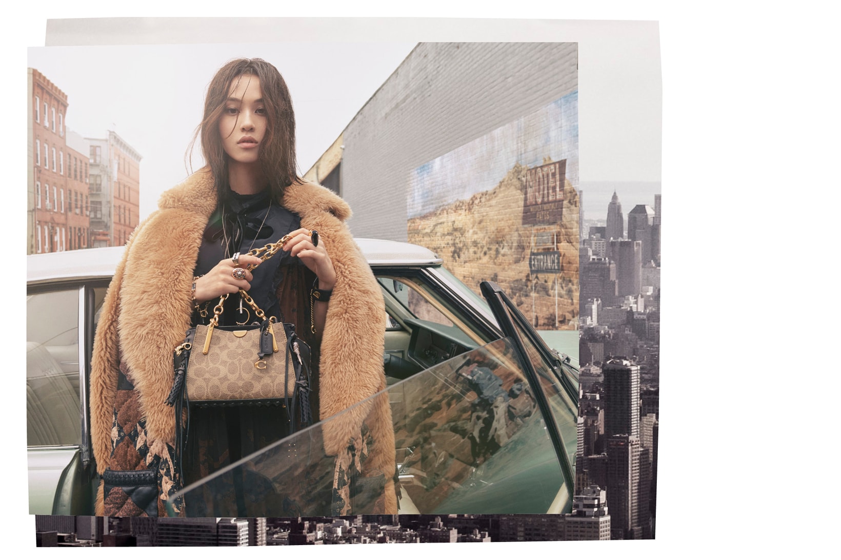 Kiko Mizuhara Coach Fall 2018 Campaign Fur Jacket Brown Mini Bag Black