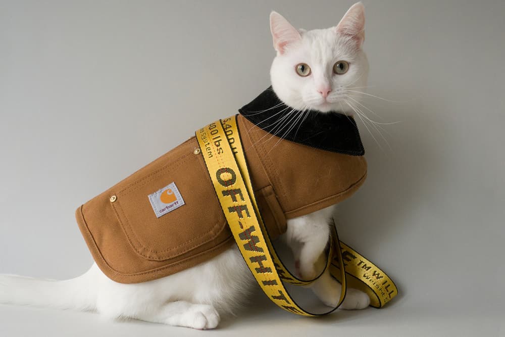 Zappa the Cat Carhartt WIP Off White Industrial Belt Yellow