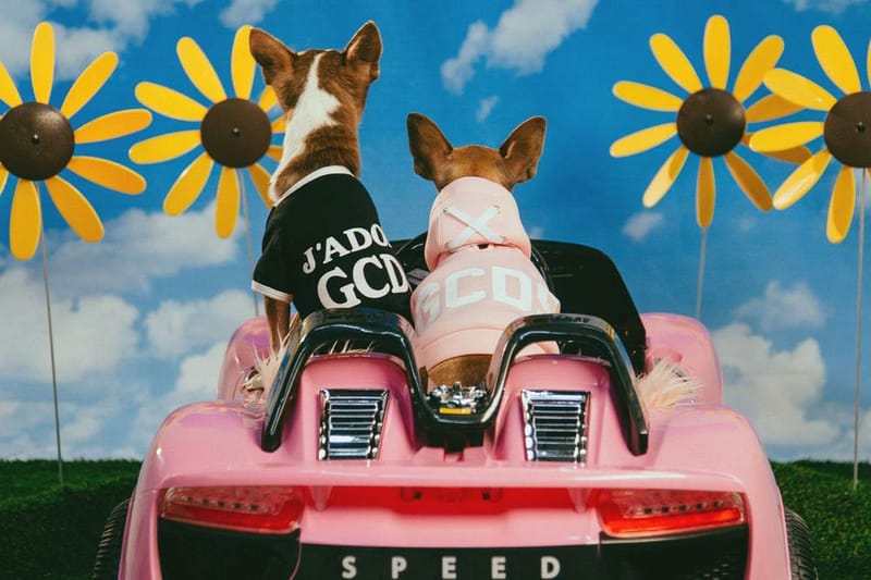 The 7 Best Streetwear Brands for Your Pet Featuring Pawmain & Pawkier