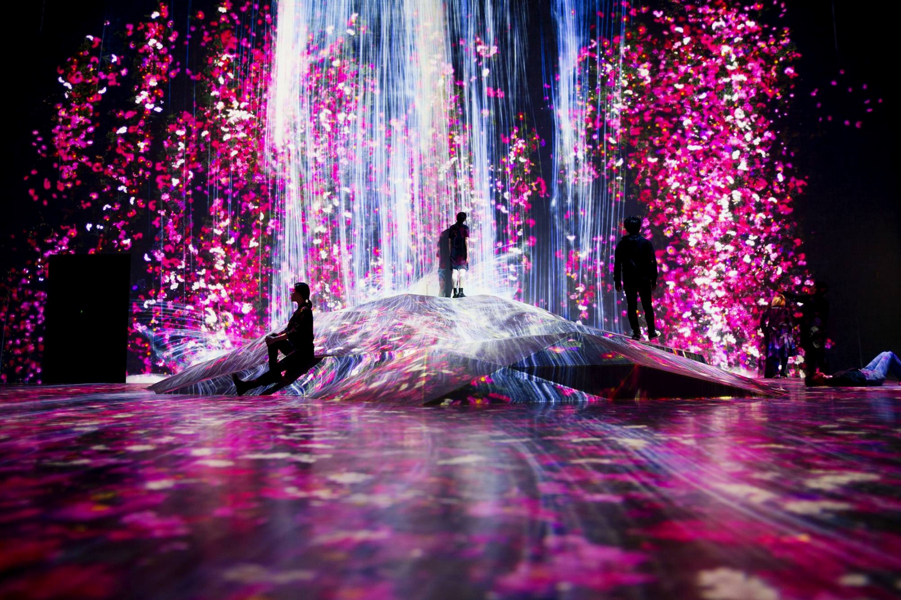 teamLab Borderless Digital Art Museum Installation Tokyo Japan Projection Waterfall Flowers