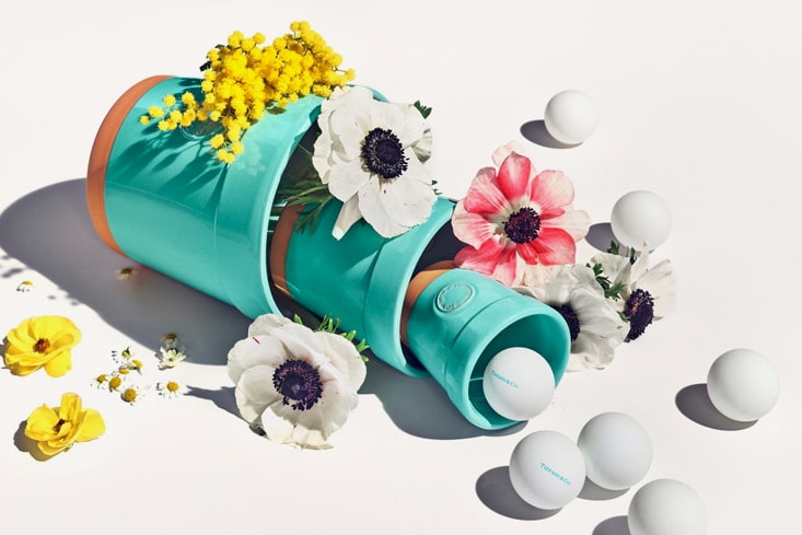 All the Items We Need From Tiffany & Co.'s New "Flora & Fauna" Collection