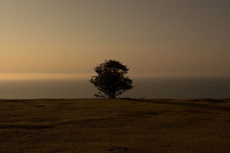 COS New Mid-Season Summer/Fall Arrivals Editorial Lookbook Horizon Shoot Scenery Beautiful