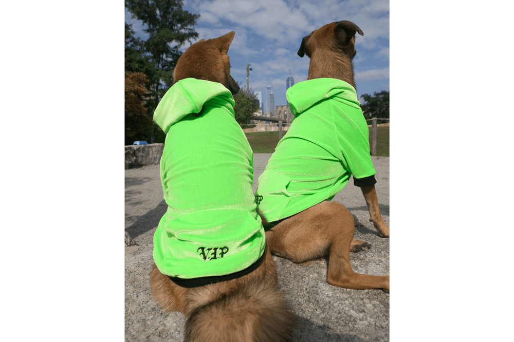 Heron Preston Very Important Puppies Dog Accessories