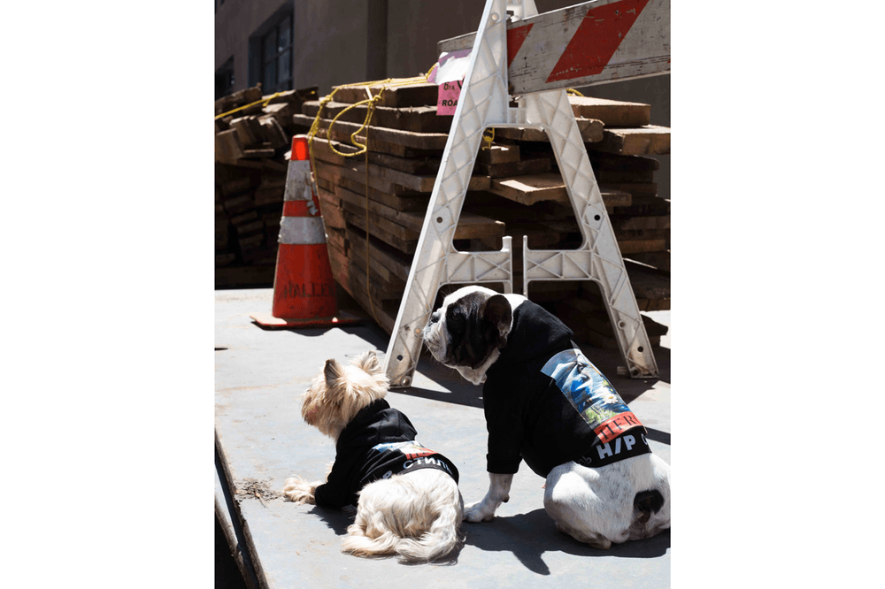 Heron Preston Very Important Puppies Dog Accessories