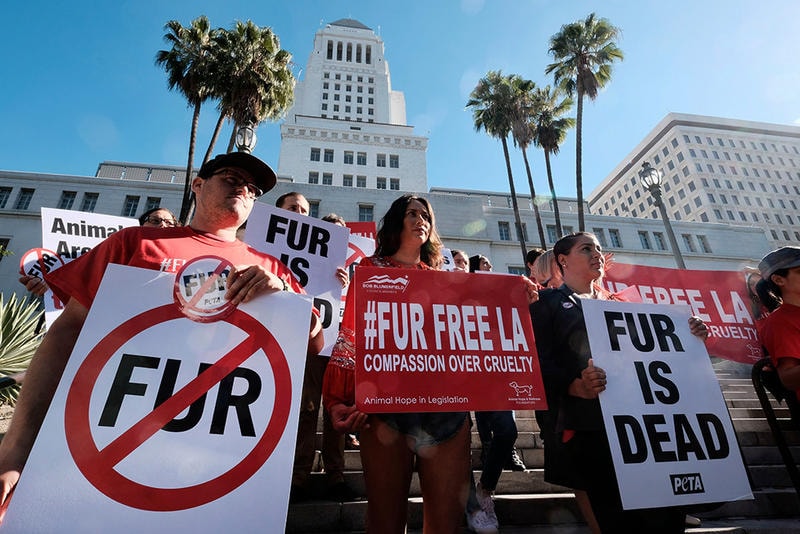 Los Angeles California Fur Free Protest