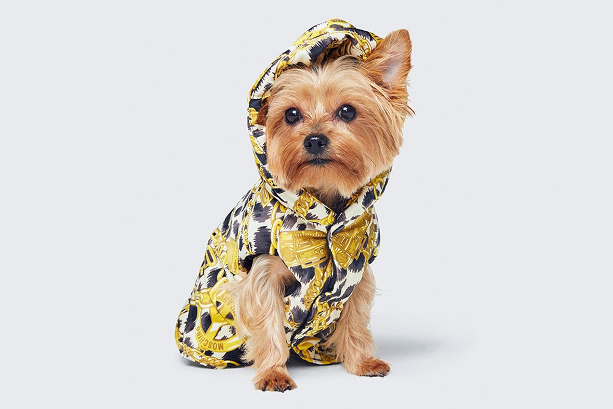 Moschino Jeremy Scott H&M Collaboration Petwear Dog