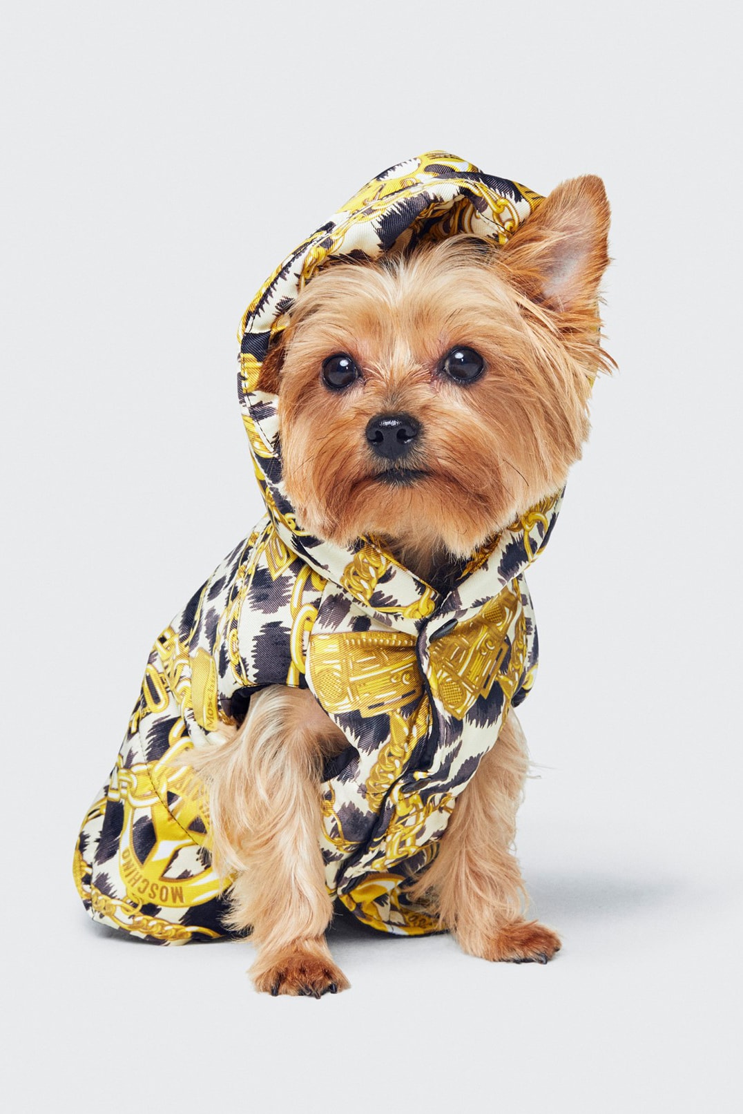 Moschino H&M Collection Lookbook Dog Hoodie Gold Black