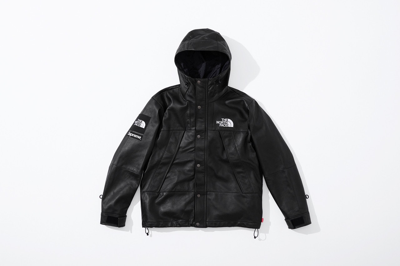 Supreme x The North Face Fall 2018 Leather Collection Mountain Parka Black