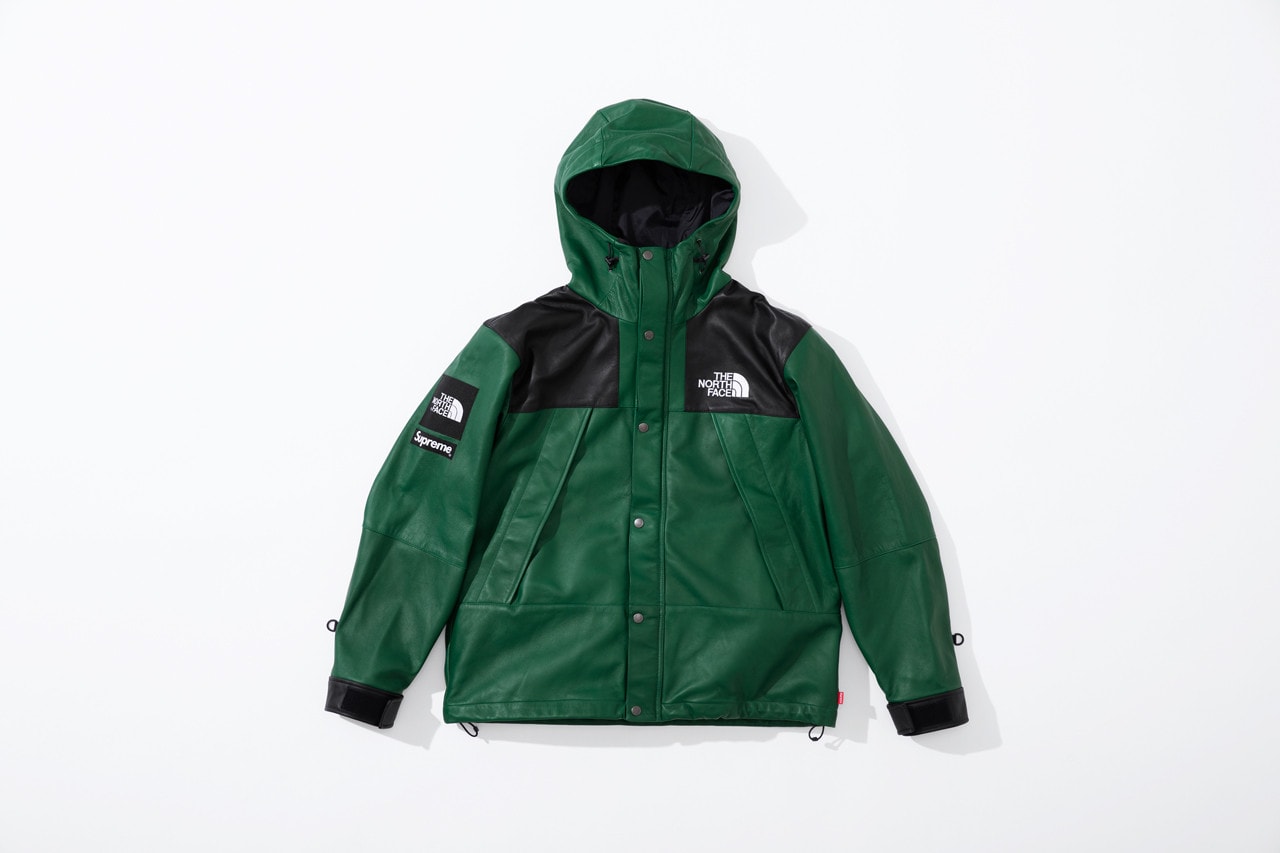 Supreme x The North Face Fall 2018 Leather Collection Mountain Parka Green