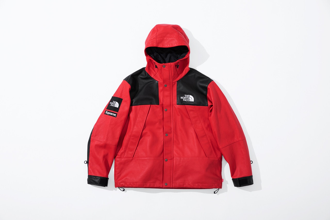 Supreme x The North Face Fall 2018 Leather Collection Mountain Parka Red