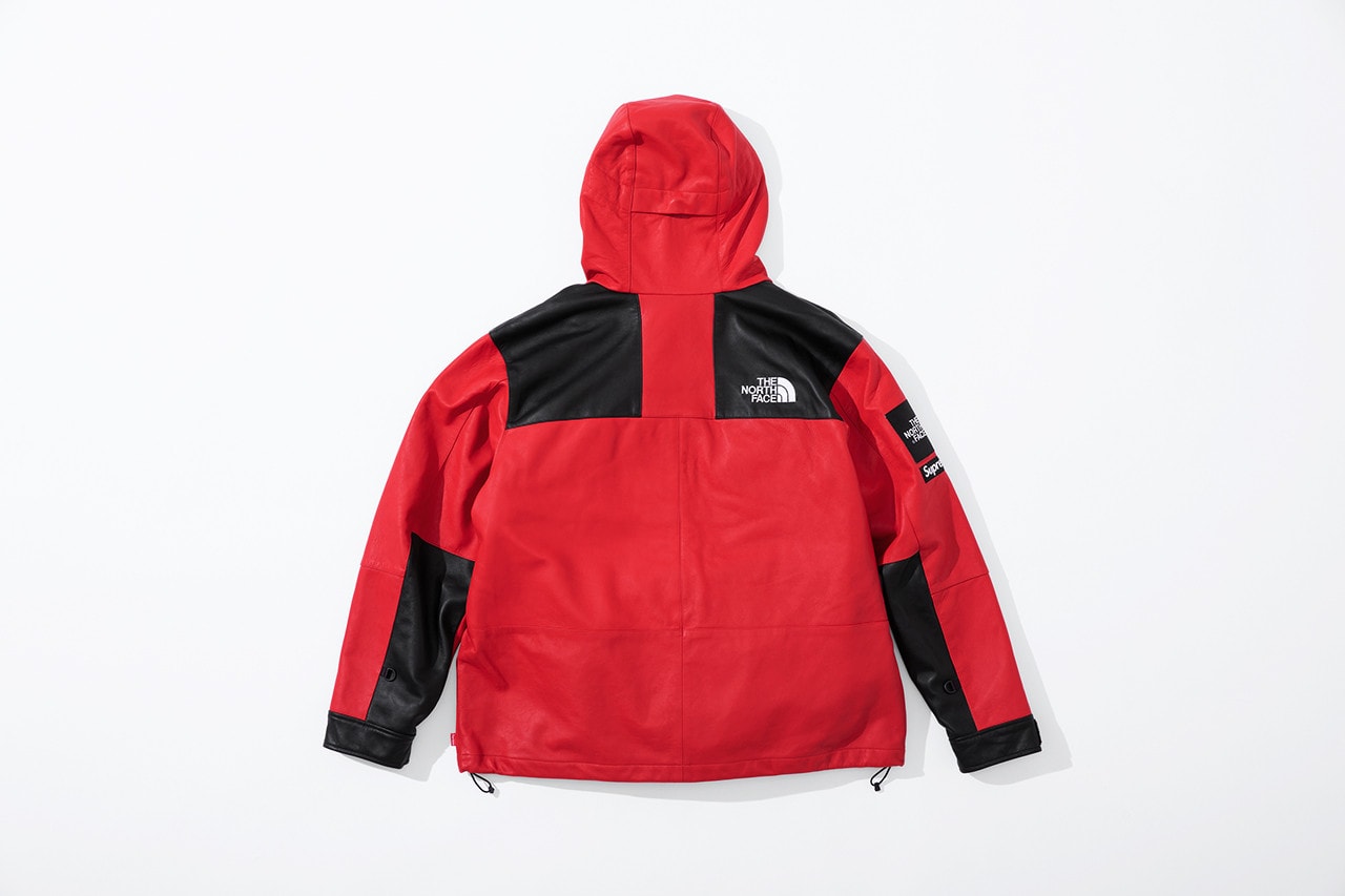 Supreme x The North Face Fall 2018 Leather Collection Mountain Parka Red