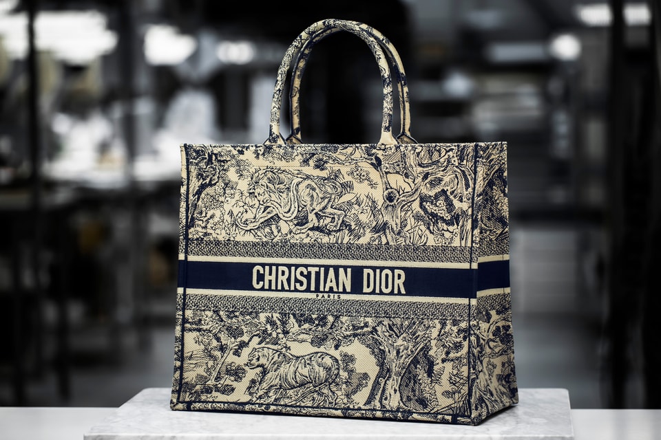 Christian Dior Tote Bags for Women