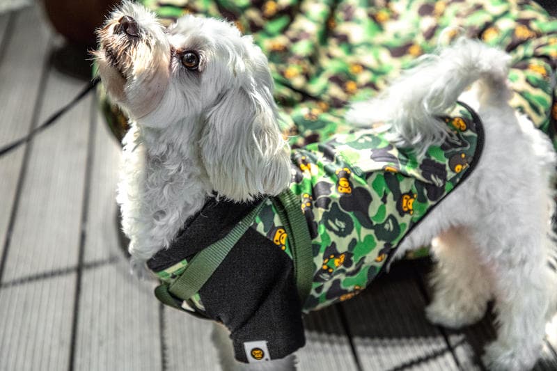 BAPE Baby Milo Pets Pop-Up