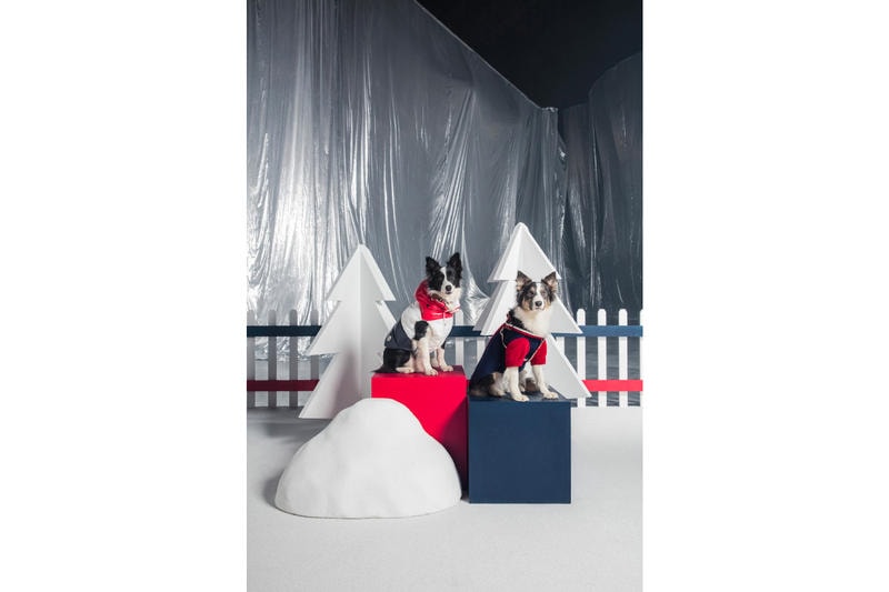 Moncler Poldo Dog Couture Fall Winter 2018 