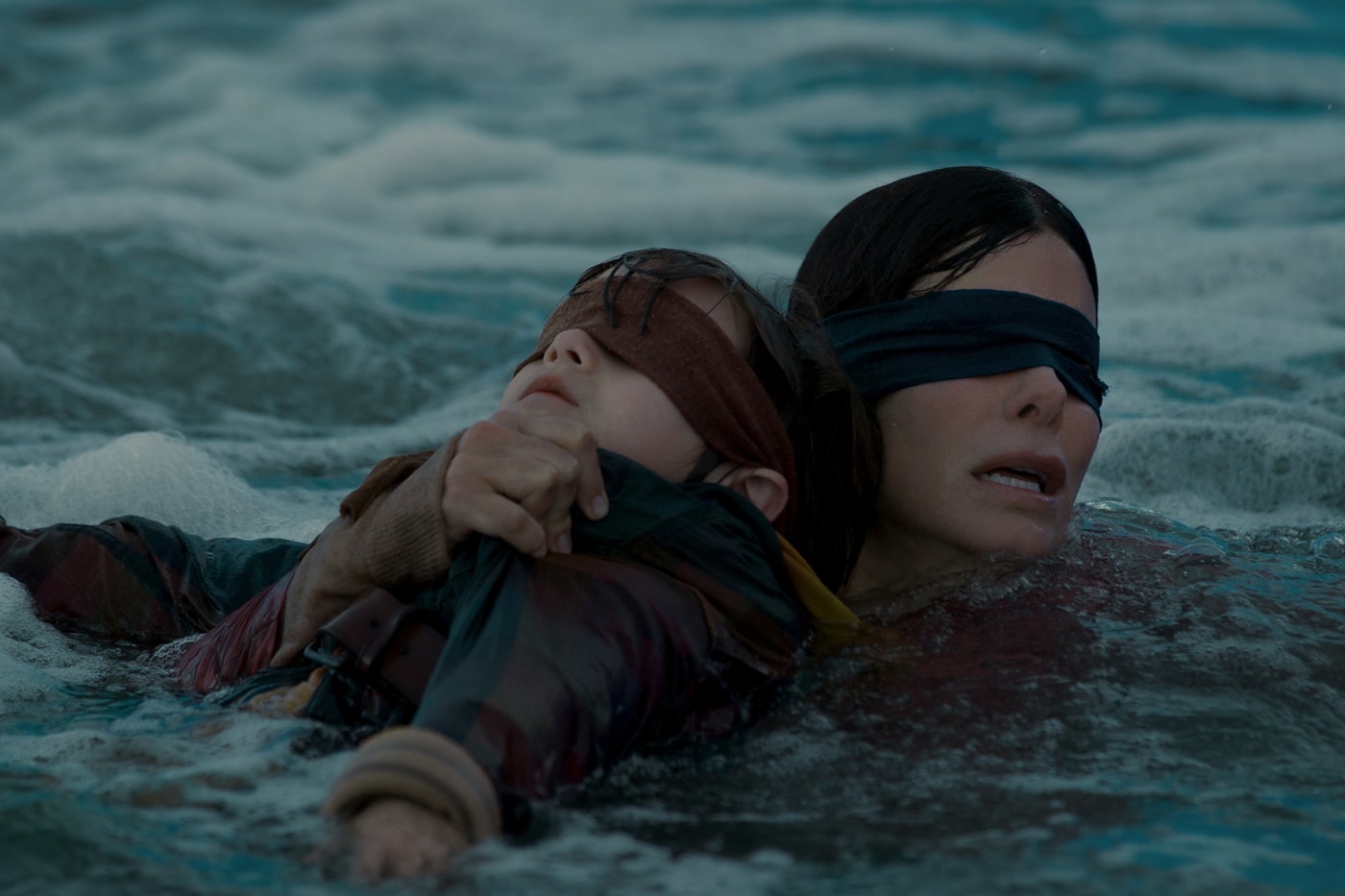 Netflix Bird Box Sandra Bullock