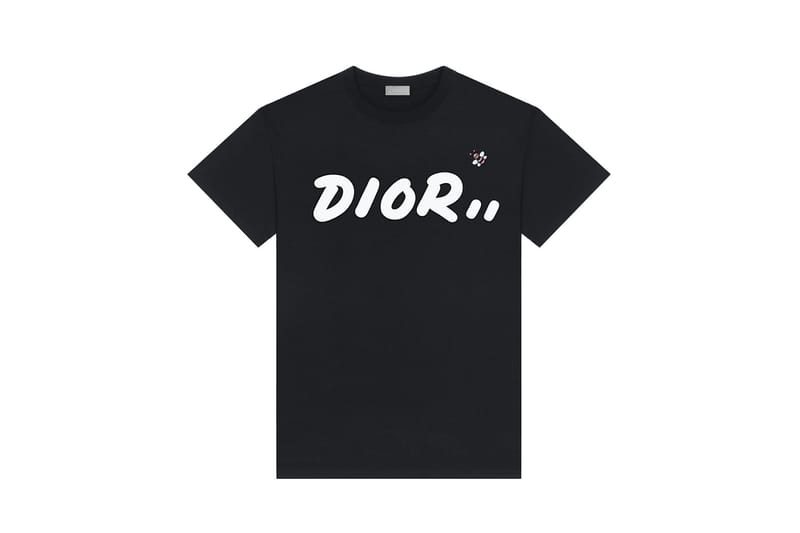 dior kaws bee t shirt