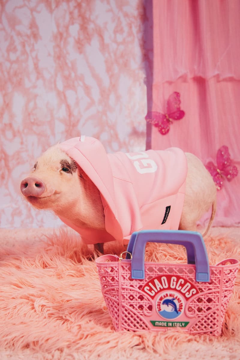 Very Important Puppies GCDS Pet Collaboration Shirt Poop Bag Pink
