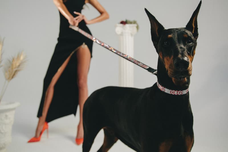 Very Important Puppies GCDS Pet Collaboration Collar Leash Silver Red