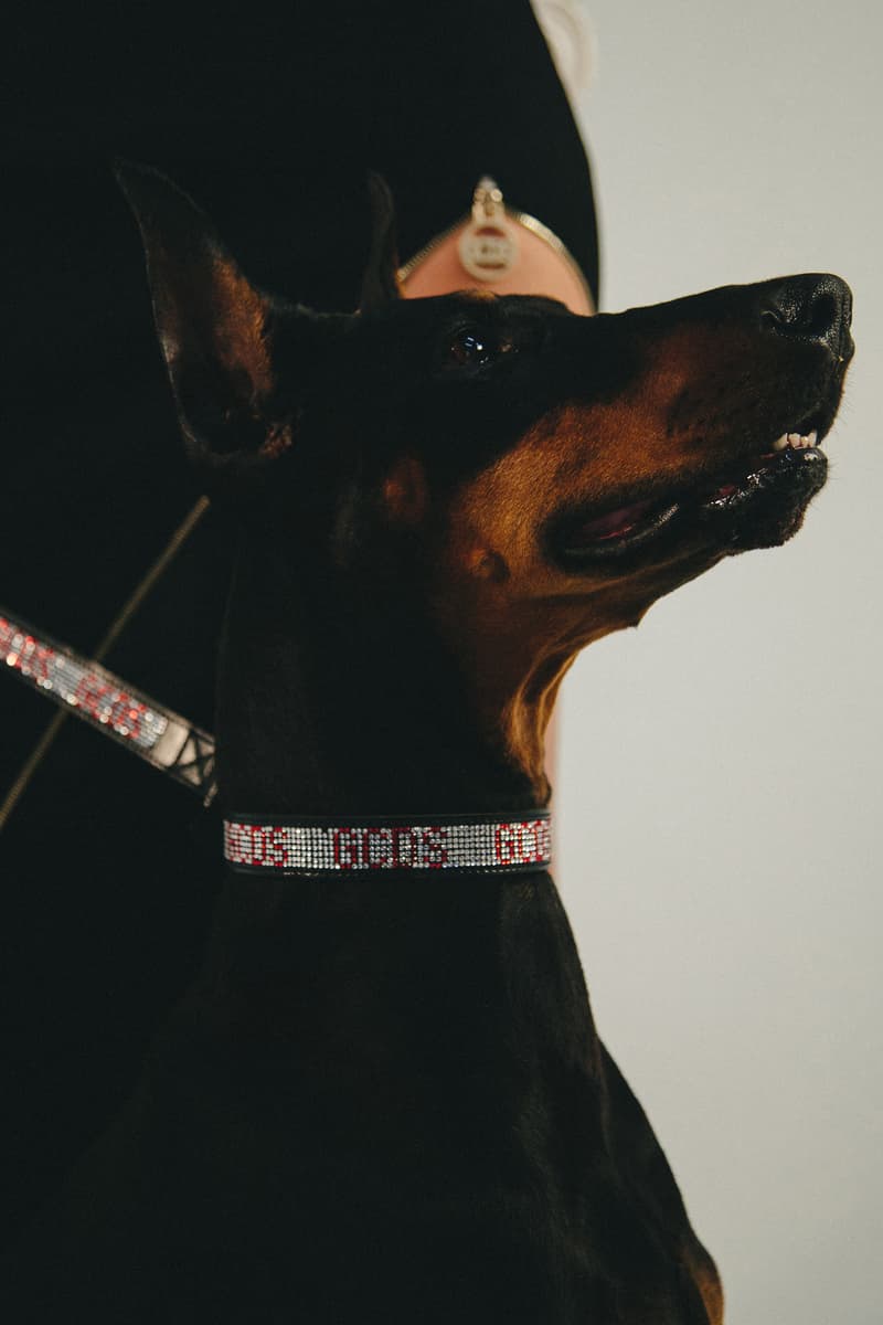 top pet streetwear brands GCDS Pet Collaboration Collar Leash Silver Red