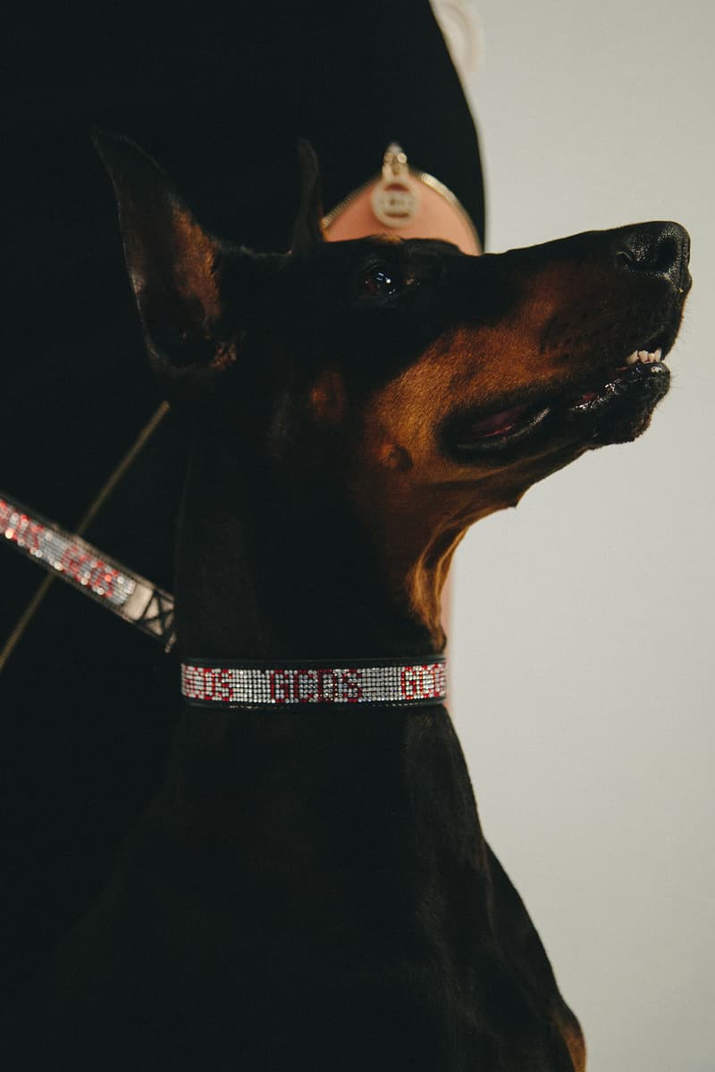 Very Important Puppies GCDS Pet Collaboration Collar Leash Silver Red