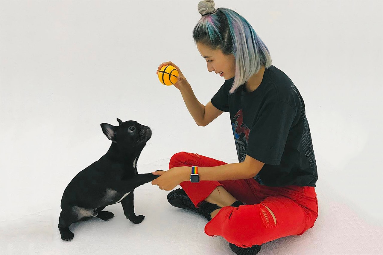 Irene Kim Korean Celebrity Model Influencer Dog Pet Biggie Pet French Bulldog Black Ball Toy South Korea Seoul 