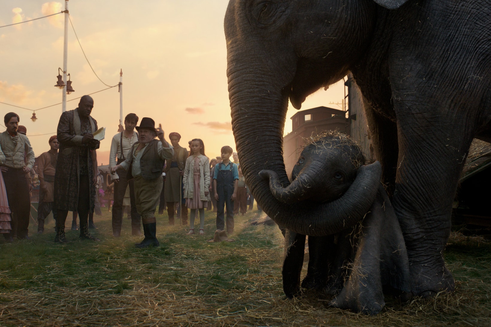 Disney Dumbo 2019 Movie Elephants Circus