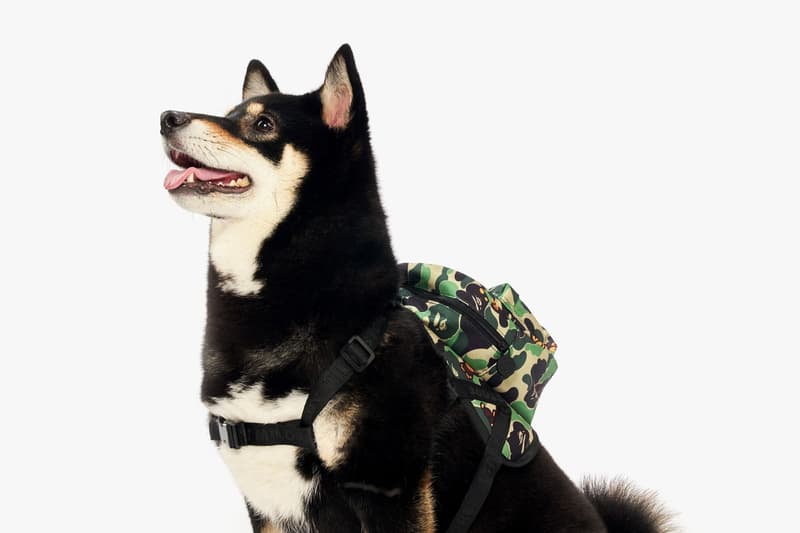 Baby Milo Launches New Pet Collection for SS19 BAPE Print Dog Range Bowl Ice Pack Toys Clothes Coat Hat Accessories