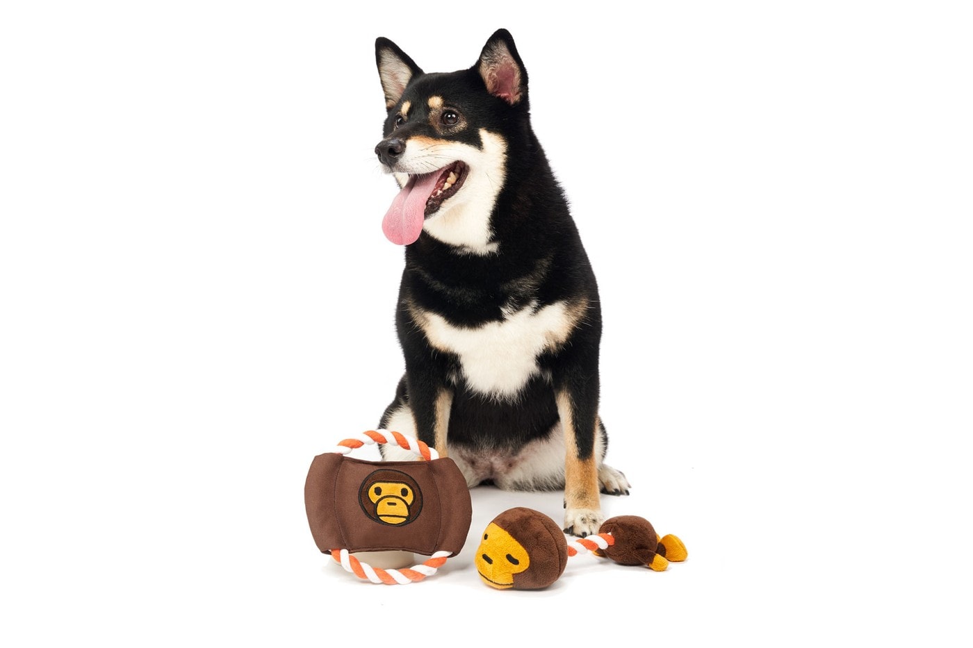 Baby Milo Launches New Pet Collection for SS19 BAPE Print Dog Range Bowl Ice Pack Toys Clothes Coat Hat Accessories