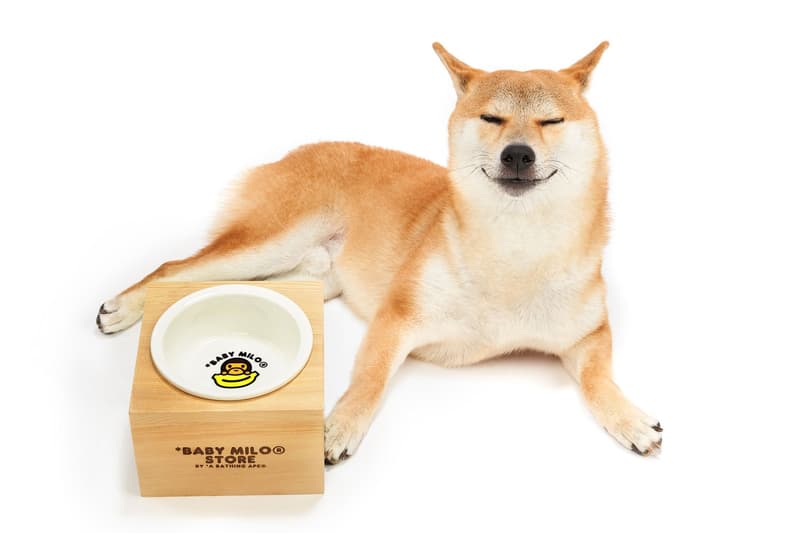 Baby Milo Launches New Pet Collection for SS19 BAPE Print Dog Range Bowl Ice Pack Toys Clothes Coat Hat Accessories